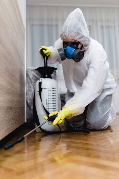 Best Residential Pest Control  in Woodlands, CA